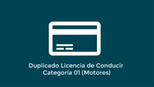 Duplicado Licencia de Conducir Categoría 01 (Motores)